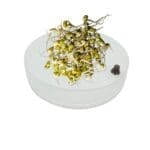 Plastic Sprout Diet Double Storage Maker - Image 6